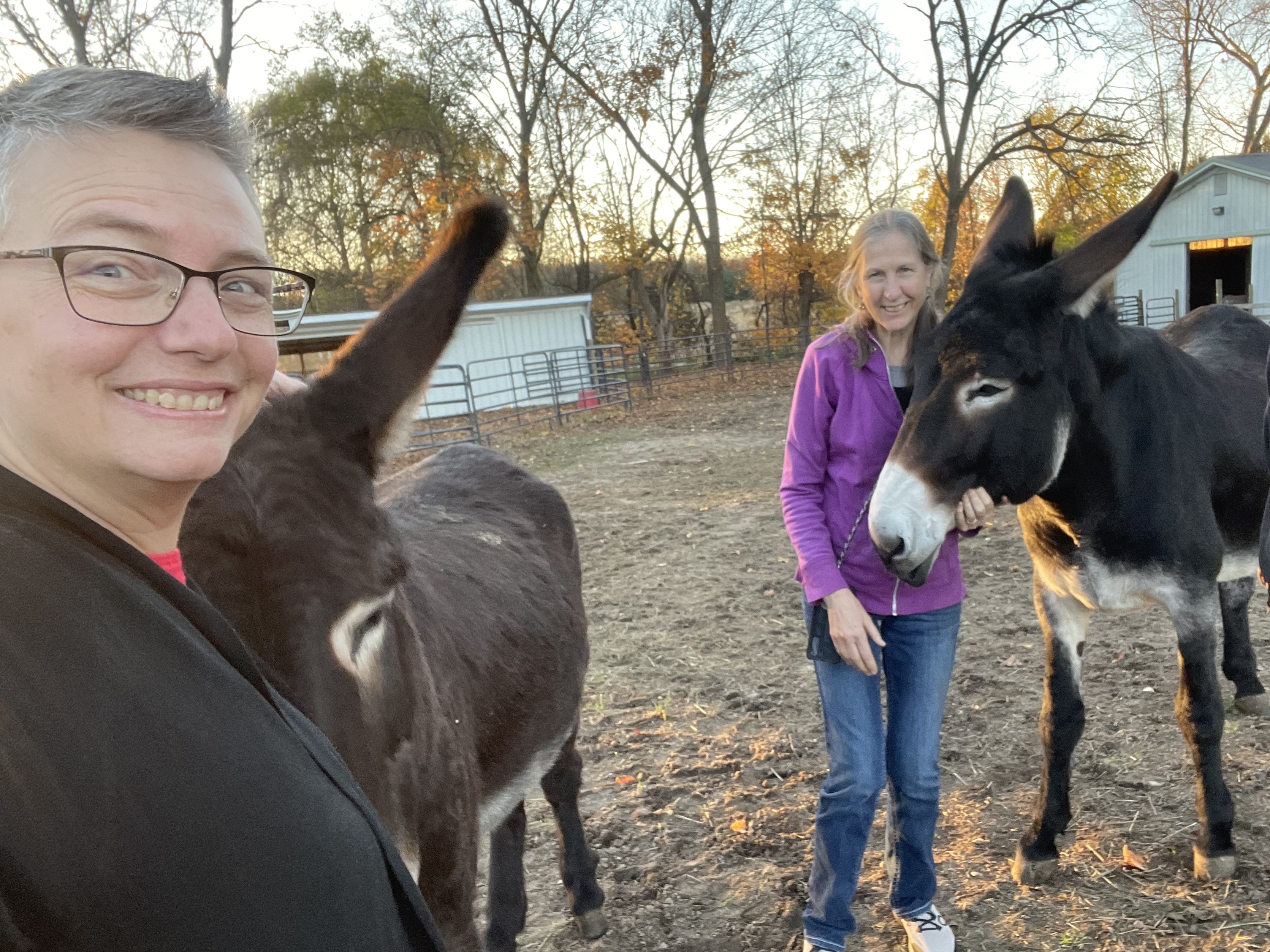 Dawn Burns and Bonnie Jo Campbell with donkeys in Mishawaka